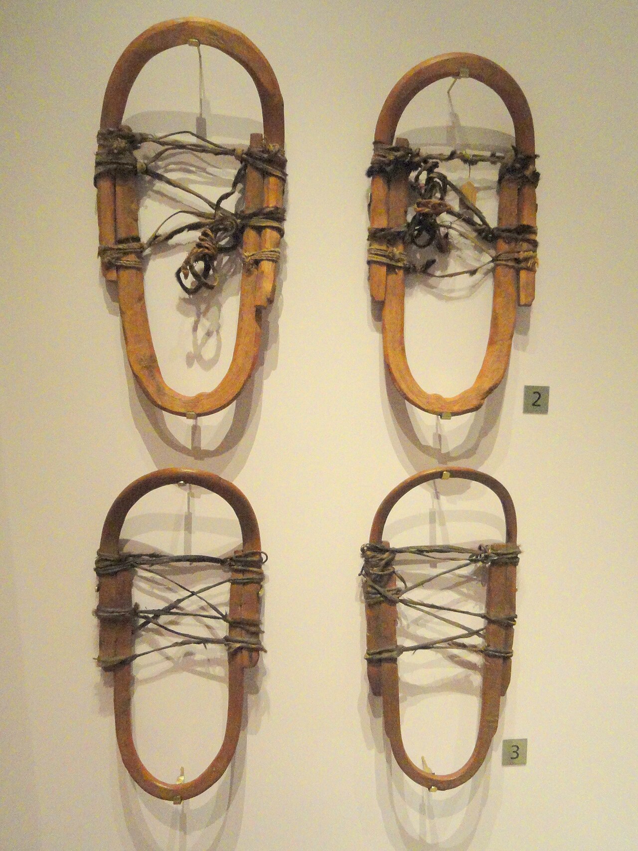 Snowshoe