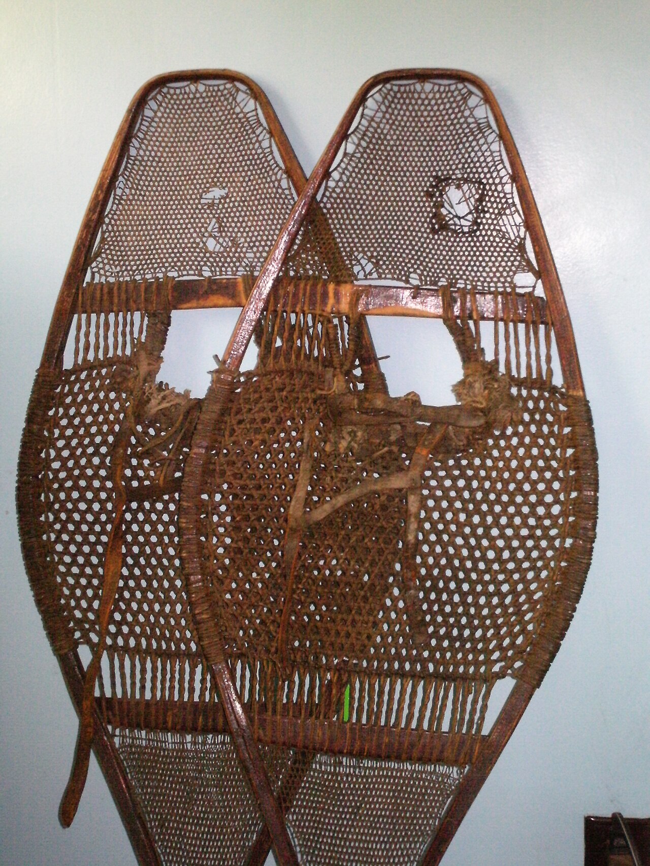 Snowshoe